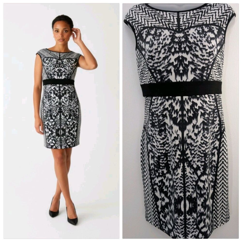 Sheath Dress 2 Career Wear Preppy Fully Lined Sleeveless Laundry Shelli Segal LA